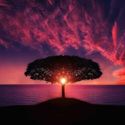 Yahweh Will Manifest Himself