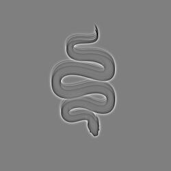 Serpents In The Grass