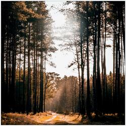 Draw Near (feat. Nifta Teweldemedhin)