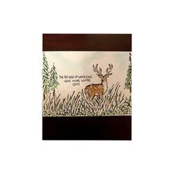 The Red Deer of White Edge wear their winter coats