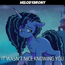 It Wasn't Nice Knowing You (feat. Blackened Blue)