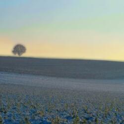 Winter Breeze