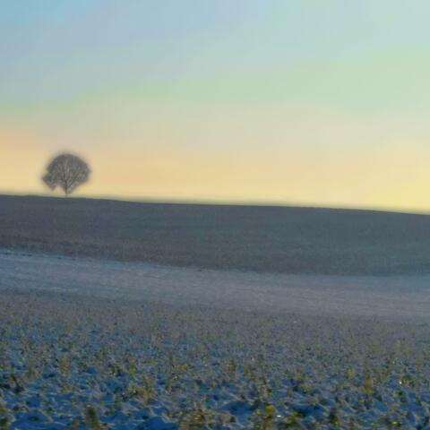 Winter Breeze
