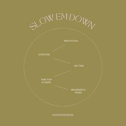 Slow Em Down