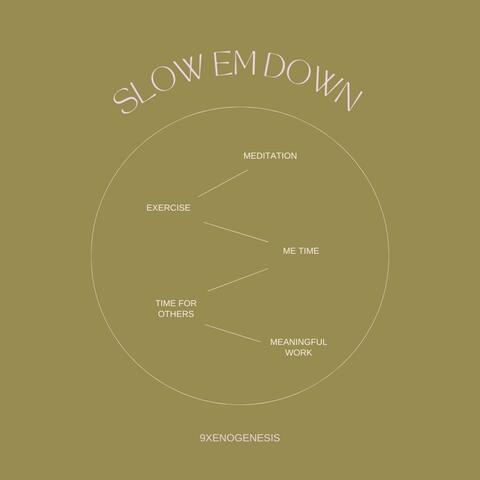 Slow Em Down