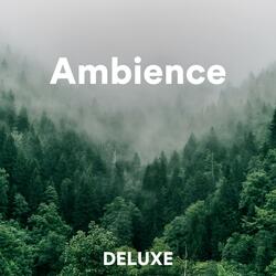 Ambience