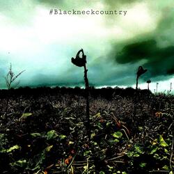 Blackneck Country