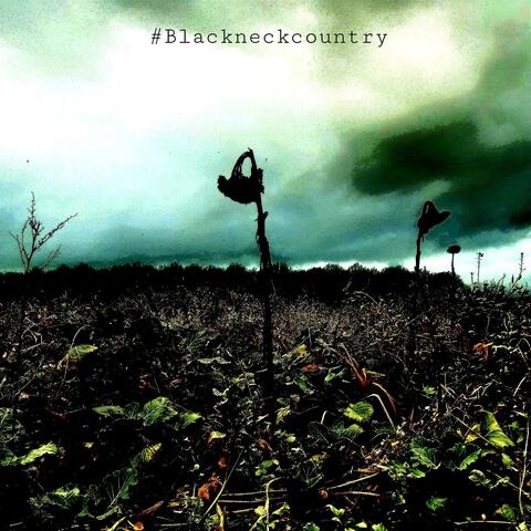 #BlackneckCountry