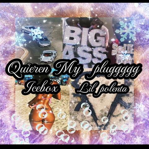 QUIEREN MY PLUGGG