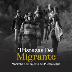 Tristezas del migrante