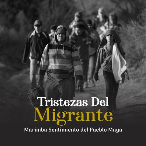 Tristezas del migrante