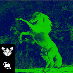 DONKEY STOMP (feat. Golemm)