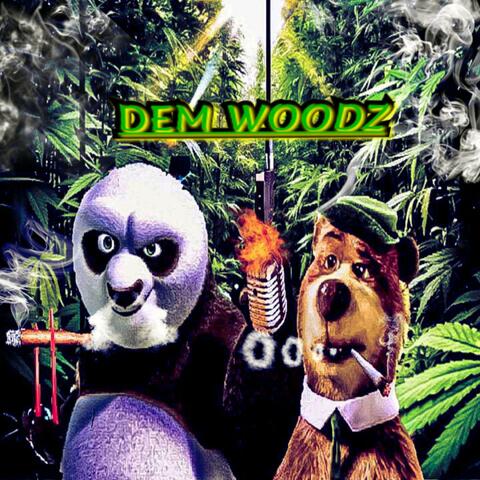 Dem Woodz (feat. BigKingFish)