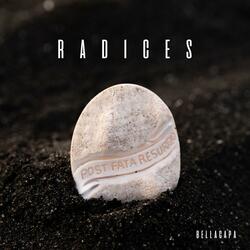 RADICES (colonna sonora originale del cortometraggio)