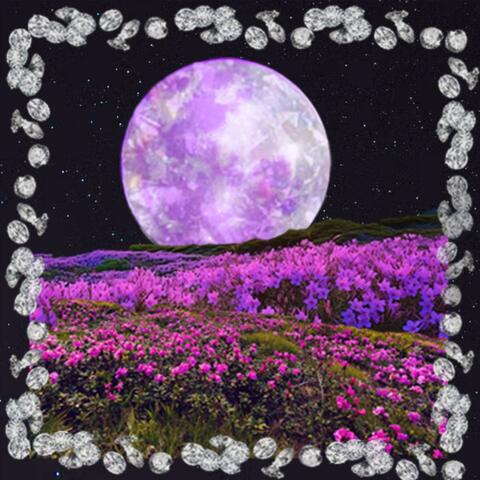 Flowerchild on the Moon