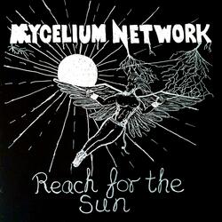 Reach For The Sun