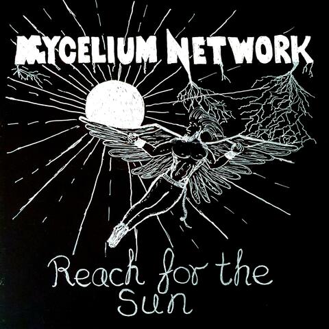 Reach For The Sun