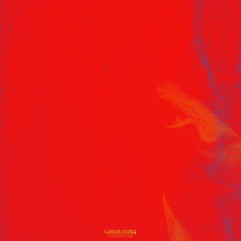 Extrospection