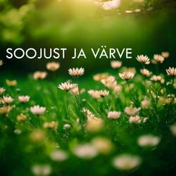 Soojust ja värve