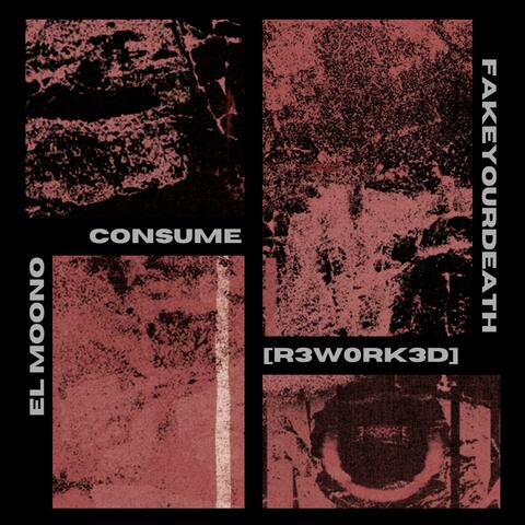 consume (feat. El Moono) [r3w0rk3d]