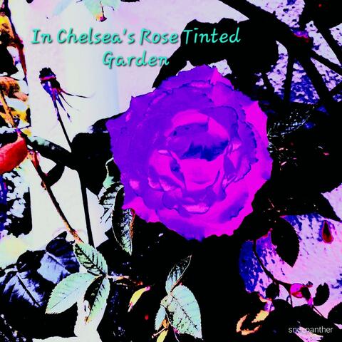 #InChelsea'sRoseTintedGarden