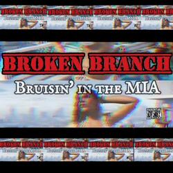 Bruisin' in the MIA (feat. sixset)