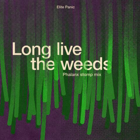 Long live the weeds (Phalanx stomp mix)