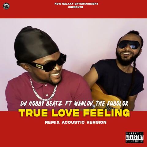 True Love Feeling Remix (feat. Wanlov The Kubolor) [Live Recording Version]