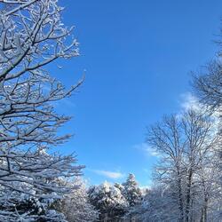 The Cold Weather's Coming