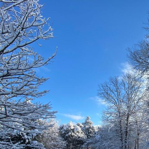 The Cold Weather's Coming
