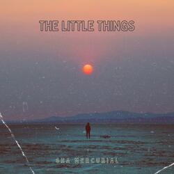 The Little Things