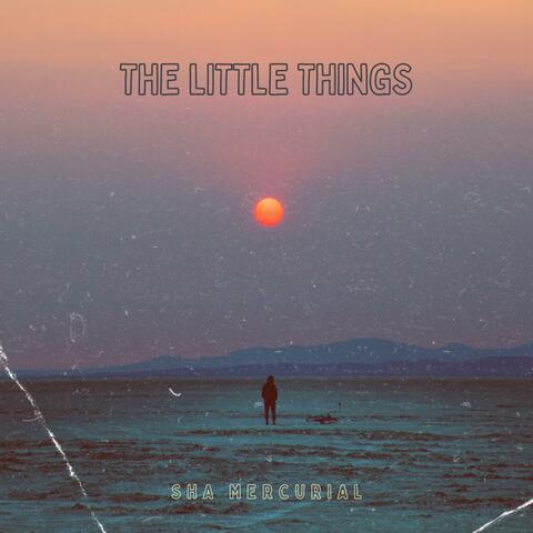 The Little Things