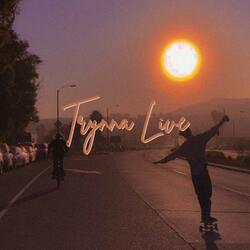Trynna Live