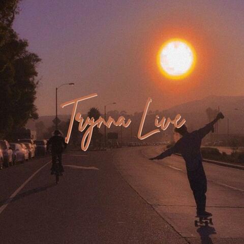 Trynna Live