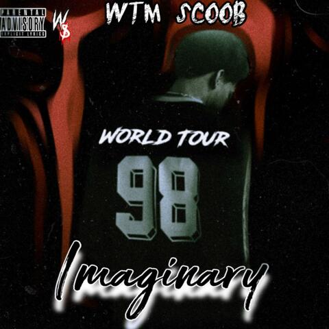 Imaginary