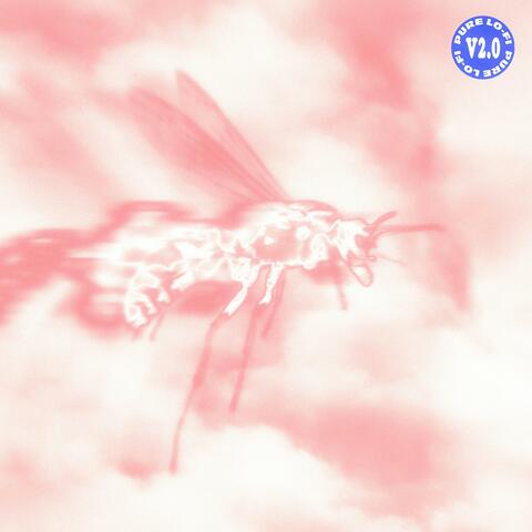 pure lo-fi 2