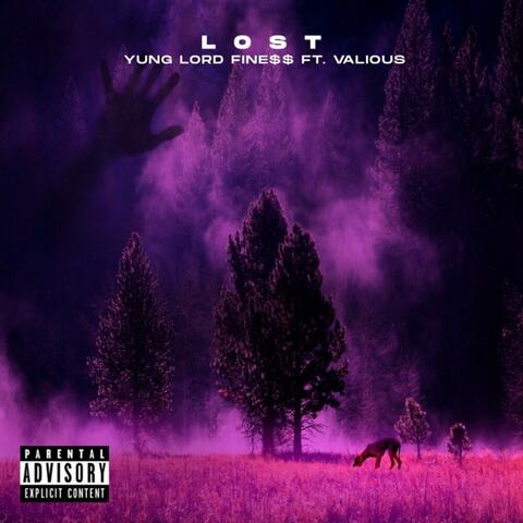 Lost (feat. Valious)