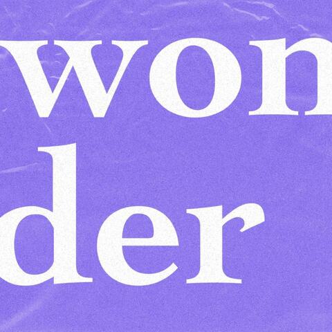 Wonder (feat. Black 'N Mild Child)