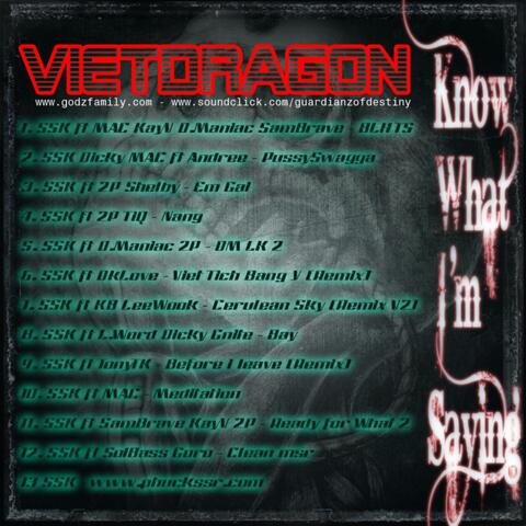 VietDragon (Know What Im Saying (2010)