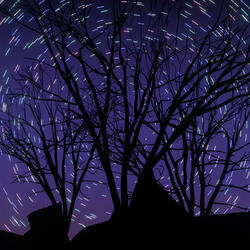Star Trails