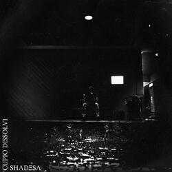 All Your Questions (feat. triplesixdelete)