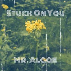 Stuck On You