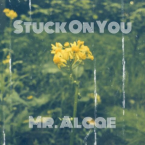 Stuck On You