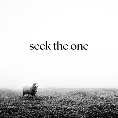 Seek The One