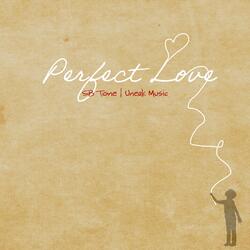 Perfect Love (feat. Sb Tone)