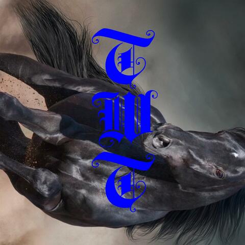 Time Will Tell