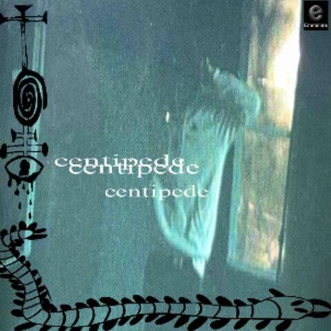 centipede
