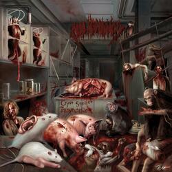 Virulent Contagion