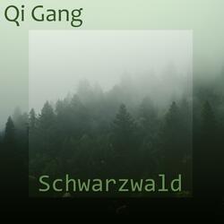 Schwarzwald