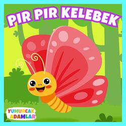 Pır Pır Kelebek